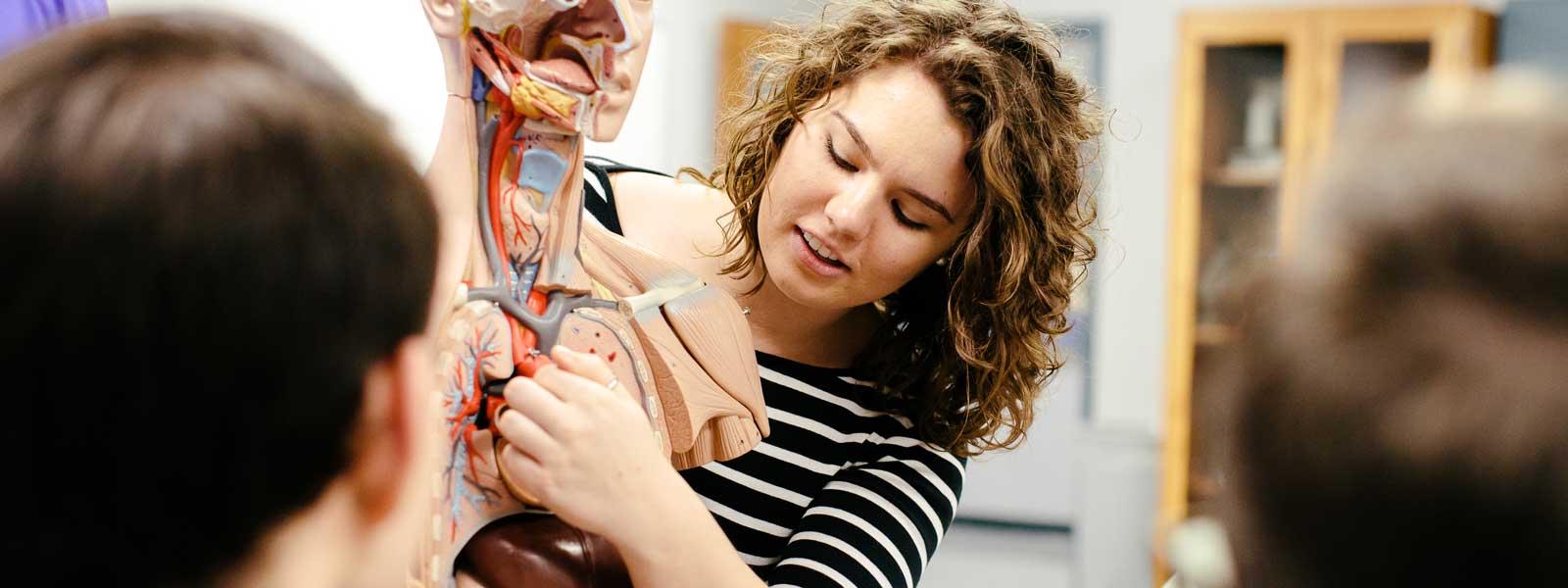 female student uses human body anatomy model in biology class discussion
